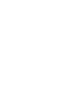 Easy Chinese Now!